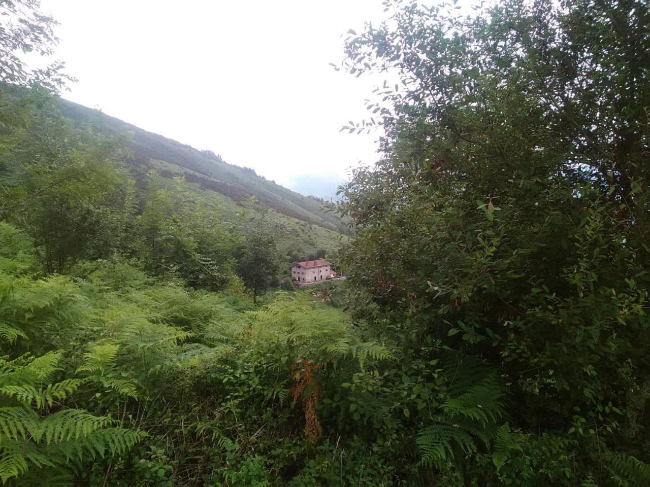 Casa Rural Haitzetxea Zugarramurdi Exterior foto
